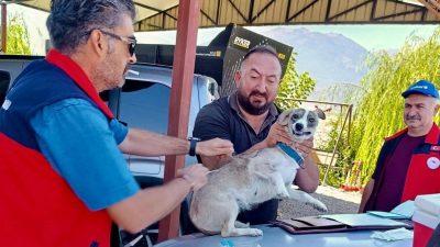 Afyonkarahisar’ın Çay ilçesinde evcil hayvanların kayıt altına alınması ve kuduz