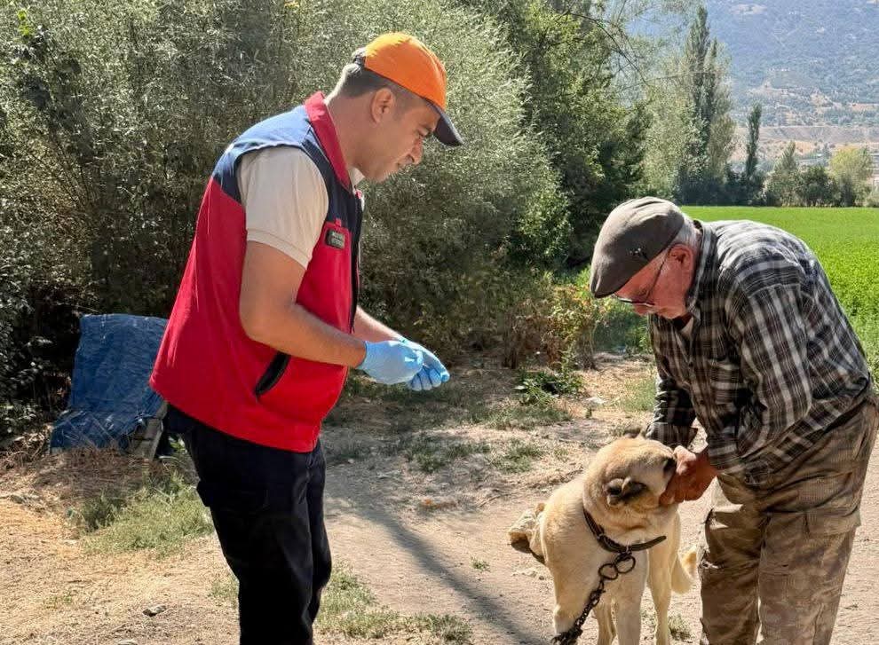 Çay’da evcil hayvanlara kimlik ve kuduz aşısı