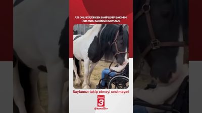 Atı, onu küçükken sahiplenip bakımını üstlenen sahibini unutmamıştı… Ve o
