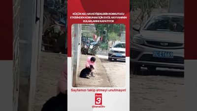 Küçük kız, havai fişeklerin korkutucu etkisinden korumak için evcil hayvanının