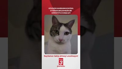 Güvenlik kamerasını kontrol ettiğinde beklenmedik bir görüntüyle karşılaştı… 📶https://kanal3.com.tr/ Sosyal