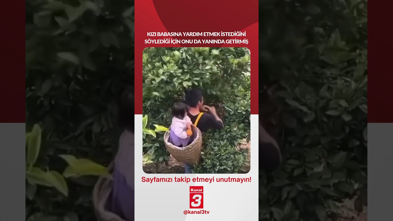 Kızı babasına yardım etmek istediğini söylediği için onu da yanında