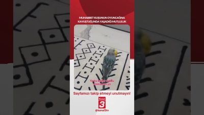 Kanal 3Çar, Eylül 23, 2026 12:00pmURL:Embed:📶https://kanal3.com.tr/ Sosyal Medya Hesaplarımızı Takip
