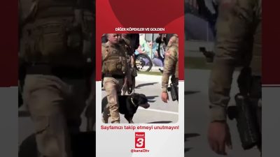 Kanal 3Sal, Eylül 22, 2026 8:00amURL:Embed:Diğer köpekler ve golden! 📶https://kanal3.com.tr/