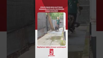 Günlük dışarı çıkma saati gelen akbabanın mutluluğu, izleyenlerin yüzünü güldürdü…