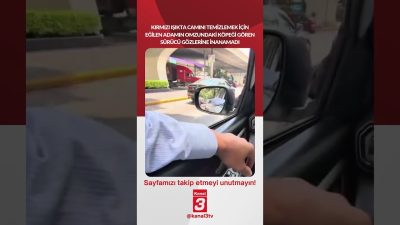 Kanal 3Per, Eylül 24, 2026 4:00pmURL:Embed:Kırmızı ışıkta camını temizlemek için