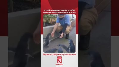 Kanal 3Çar, Eylül 16, 2026 4:00pmURL:Embed:Sevdiği bakıcısının ziyaretine geldiğini fark