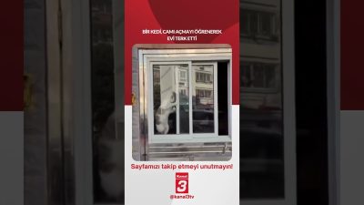 Kanal 3Per, Eylül 10, 2026 10:00amURL:Embed:Bir kedi, camı açmayı öğrenerek