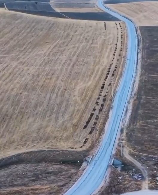 Afyonkarahisar’ın Sinanpaşa ilçesine bağlı İğdeli köyünde 1,5 kilometrelik sathi kaplama