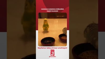 Haksızlık karşısında sinirlerine hakim olamadı! 📶https://kanal3.com.tr/ Sosyal Medya Hesaplarımızı Takip