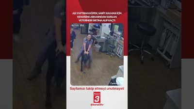 Aşı yaptıran köpek, sabit kalması için kendisine arkasından sarılan veterineri