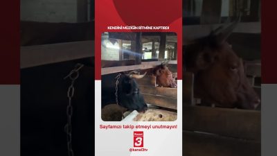 Kendini müziğin ritmine kaptırdı… 📶https://kanal3.com.tr/ Sosyal Medya Hesaplarımızı Takip Ederek
