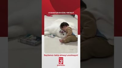 Uyumak için en güzel yeri seçti… 📶https://kanal3.com.tr/ Sosyal Medya Hesaplarımızı