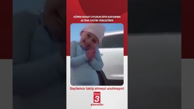 Köpek rahat uyusun diye kafasının altına yastık yerleştirdi… 📶https://kanal3.com.tr/ Sosyal