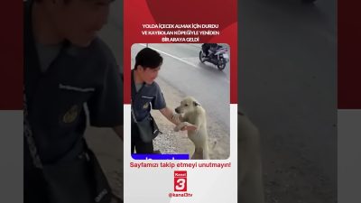 Yolda içecek almak için durdu ve kaybolan köpeğiyle yeniden bir