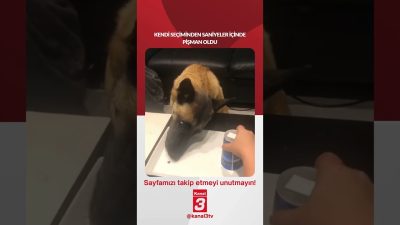 Kendi seçiminden saniyeler içinde pişman oldu… 📶https://kanal3.com.tr/ Sosyal Medya Hesaplarımızı