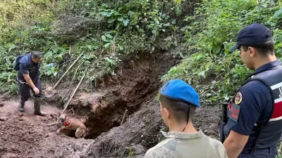 İçişleri Bakanı Mustafa Çiftçi, Artvin'in Şavşat ilçesinde yaklaşık 30 yıldır