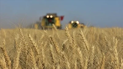 Toprak Mahsulleri Ofisi (TMO), hububat ve haşhaş kapsülü alım bedellerinin