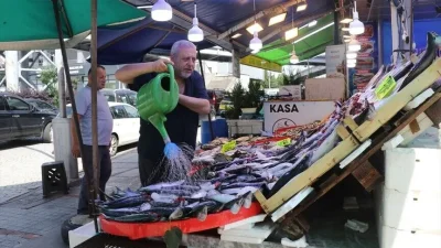 Giresun, Rize, Ordu ve Trabzon'da av yasağının sona ermesiyle denize