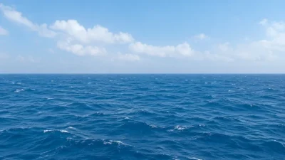 Endonezya'nın Java bölgesi açıklarında 241 kişiyi taşıyan yolcu gemisiyle irtibatın