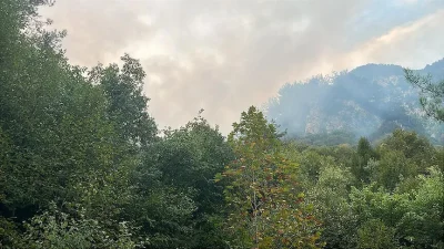 Hatay'ın Dörtyol ilçesinde ormanlık alanda çıkan yangına havadan ve karadan