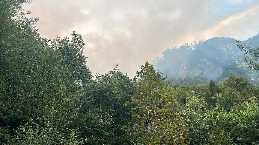 Hatay'ın Dörtyol ilçesinde ormanlık alanda çıkan yangına havadan ve karadan