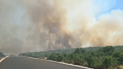 Diyarbakır'ın Silvan ilçesi kırsalında ormanlık alana sıçrayan yangına müdahale ediliyor.
