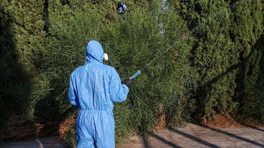 Yunanistan’ın başkenti Atina’da, Batı Nil virüsü vakalarındaki artış nedeniyle sivrisineklerle