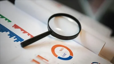 Yeni Orta Vadeli Program (OVP) döneminde, dezenflasyon sürecinin devamıyla enflasyondaki