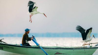Bursa’da her yıl Eskikaraağaç Leylek Köyü’ne gelerek balıkçı Adem Yılmaz’la