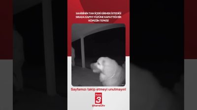 Sahibinin tam içeri girmek istediği sırada kapıyı yüzüne kapattığı bir