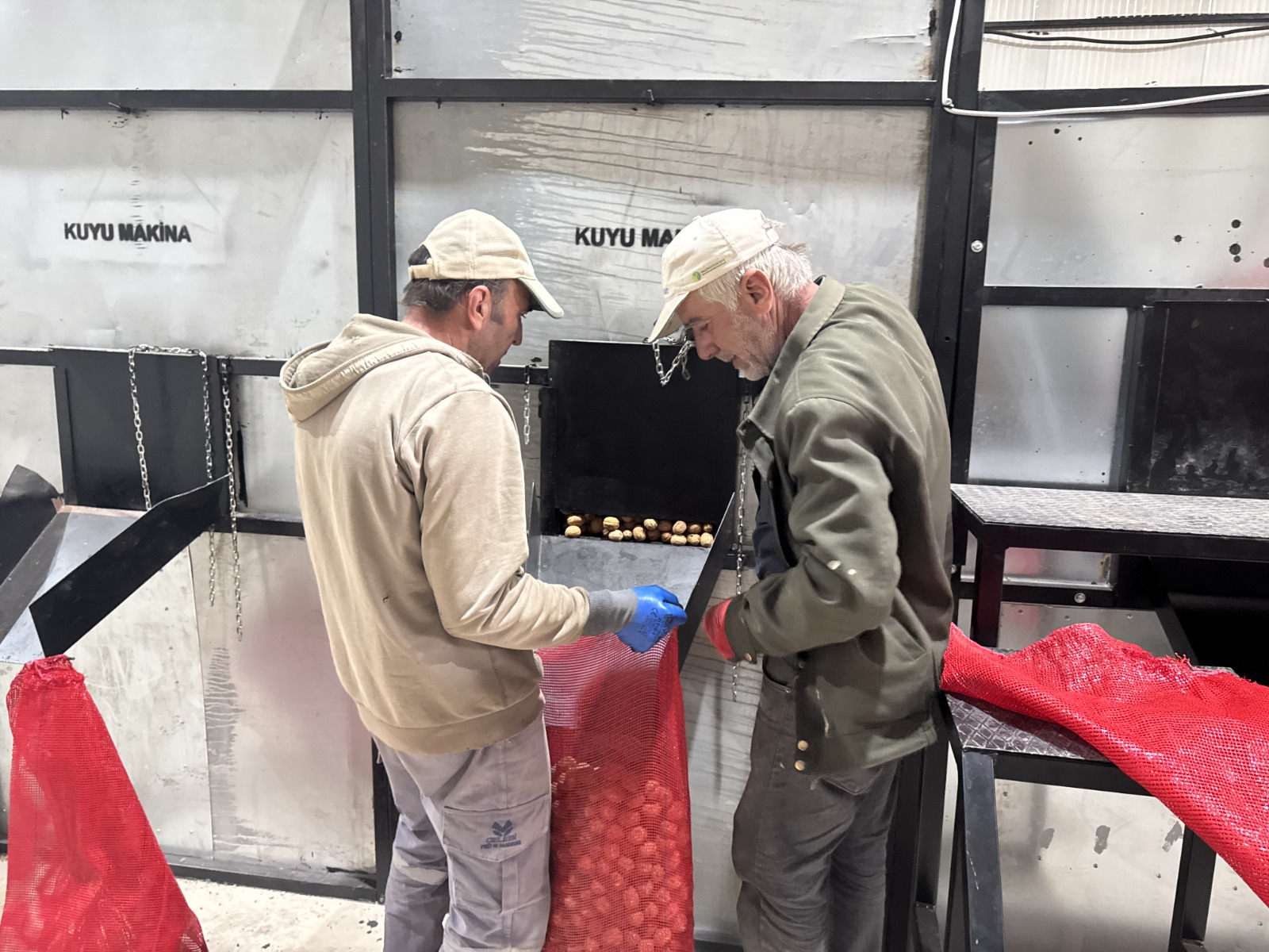 100 bin ceviz ağacı yöre halkına kazanç sağlıyor 4 100 bin ceviz ağacı yöre halkına kazanç sağlıyor