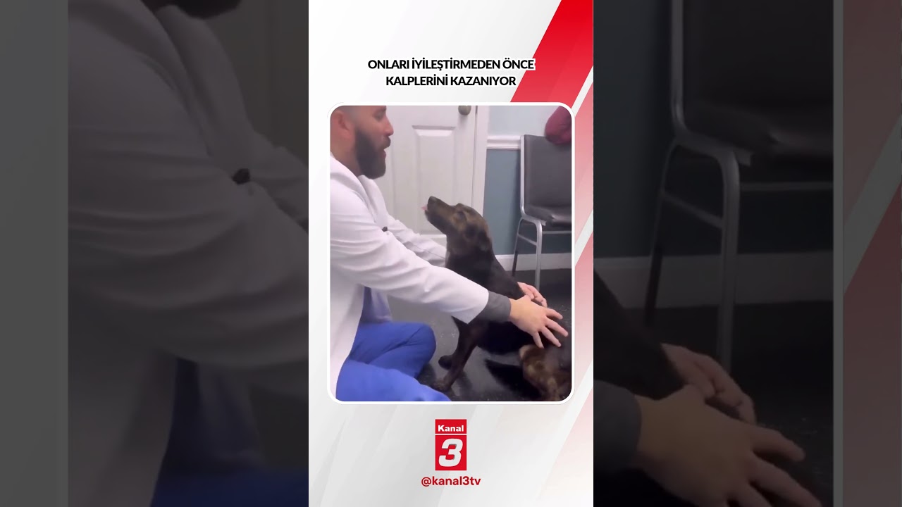 Onları iyileştirmeden önce kalplerini kazanıyor… 📶https://kanal3.com.tr/ Sosyal Medya Hesaplarımızı Takip