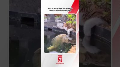 Kanal 3Paz, Ekim 25, 2026 12:00pmURL:Embed:Kedi ve balıkların arkadaşlığı izleyenlerin