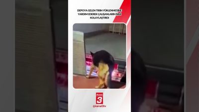Kanal 3Cum, Ekim 30, 2026 2:00pmURL:Embed:Depoya gelen tırın yüklenmesine yardım