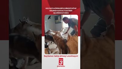 Kanal 3Cum, Ekim 9, 2026 4:00pmURL:Embed:Koltukta köpekleriyle birlikte kitap okurken