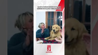 Kanal 3Sal, Ekim 13, 2026 10:00amURL:Embed:Ailesiyle doğum gününü kutlayan köpeğin