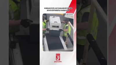 Kanal 3Sal, Ekim 27, 2026 8:00amURL:Embed:Korkan evcil hayvanları büyük bir