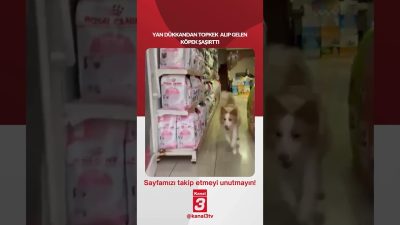 Kanal 3Çar, Eylül 30, 2026 12:00pmURL:Embed:Yan dükkandan topkek alıp gelen