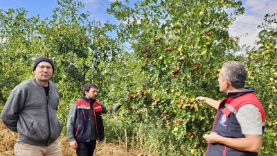 Afyonkarahisar’ın Başmakçı ilçesinde alternatif tarım ürünlerinin yaygınlaştırılması amacıyla sürdürülen çalışmalar