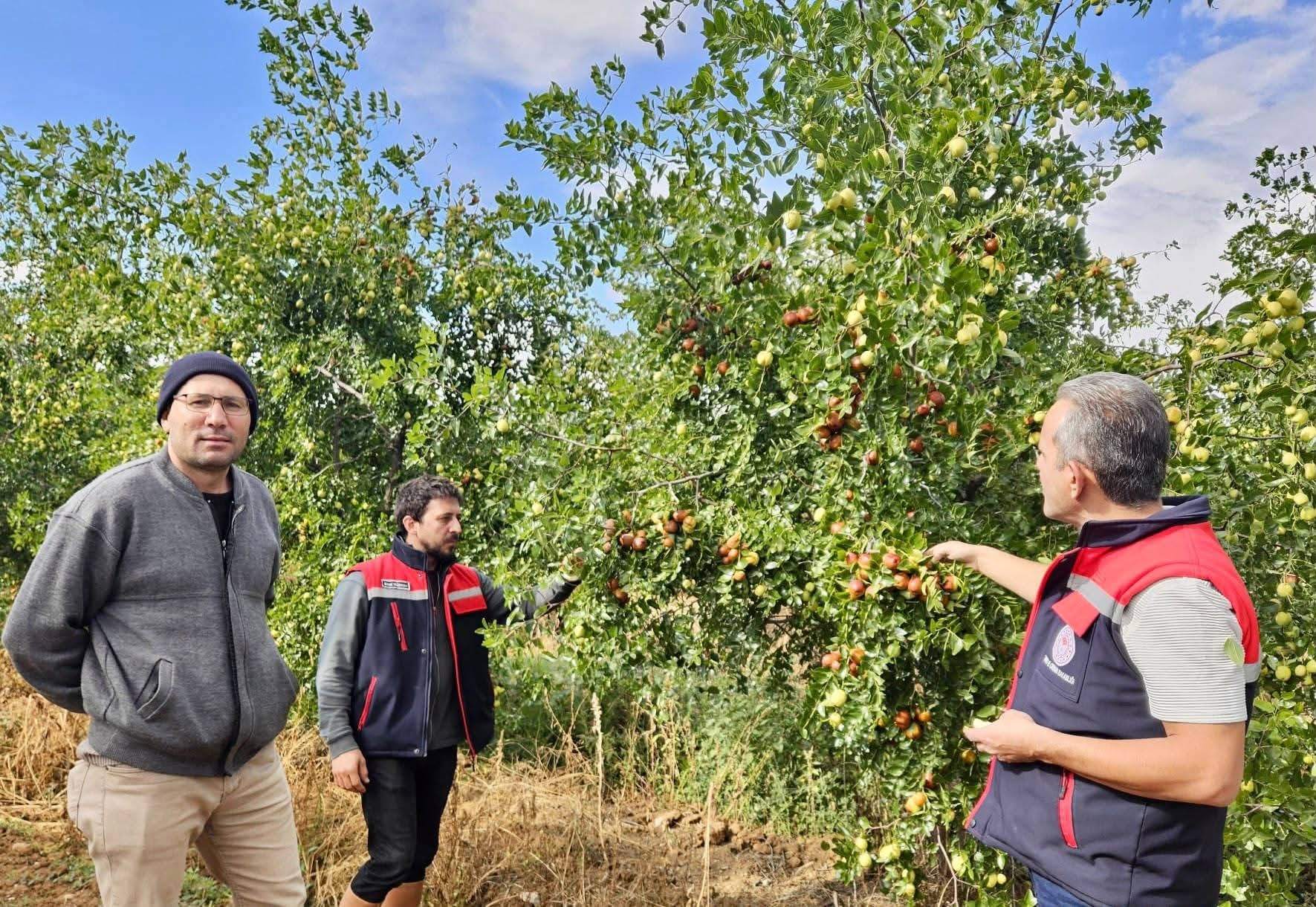 Afyonkarahisar’ın Başmakçı ilçesinde alternatif tarım ürünlerinin yaygınlaştırılması amacıyla sürdürülen çalışmalar