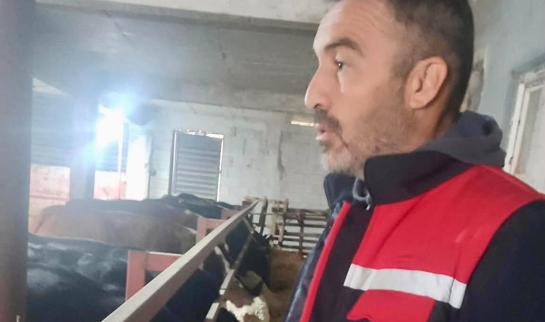 Afyonkarahisar’ın Dinar ilçesinde hayvan sağlığının korunması, hayvan hareketlerinin takibi ve