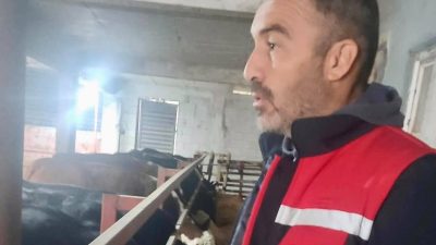 Afyonkarahisar’ın Dinar ilçesinde hayvan sağlığının korunması, hayvan hareketlerinin takibi ve