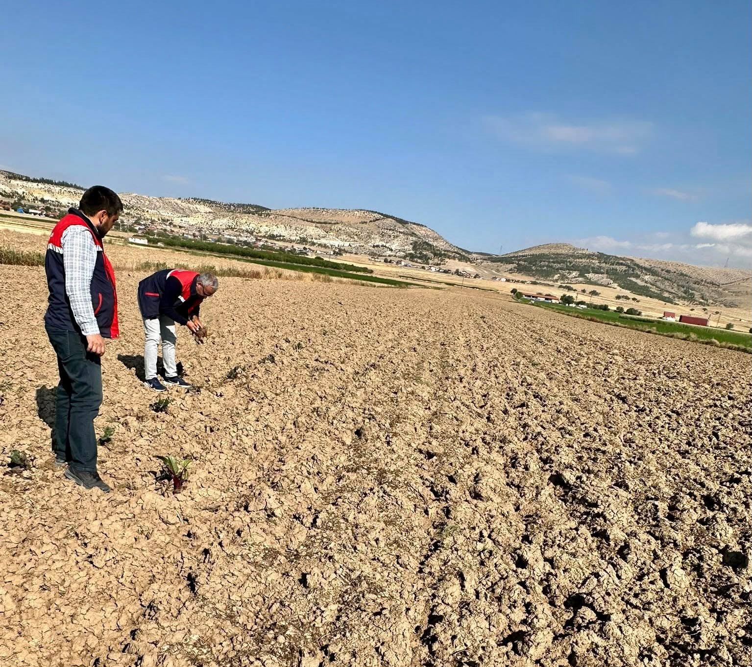 Afyonkarahisar’ın Bolvadin ilçesinde tarımsal üretim alanlarının mevcut durumunun belirlenmesi ve