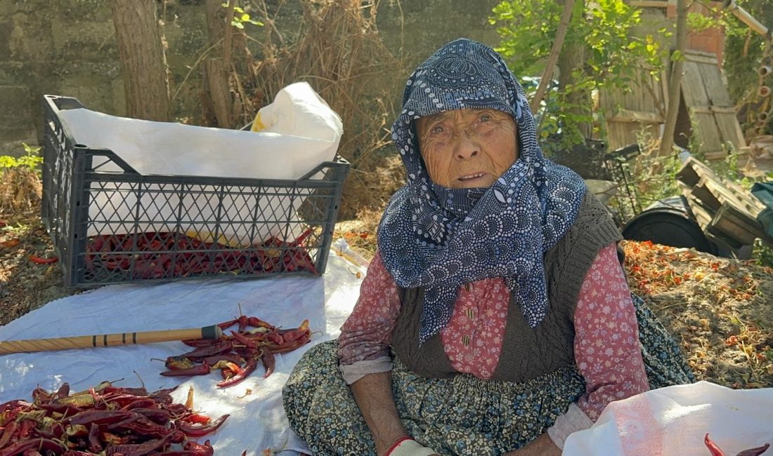 Bursa'nın Karacabey ilçesinde yaşayan 90 yaşındaki Şükriye İnan, yüksek işçilik