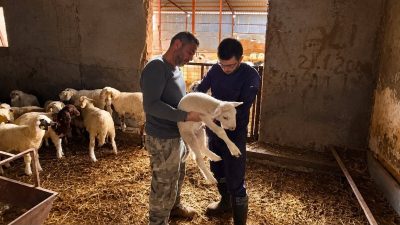 Afyonkarahisar’da hayvan sağlığının korunması, bulaşıcı hayvan hastalıklarının önlenmesi ve hayvan