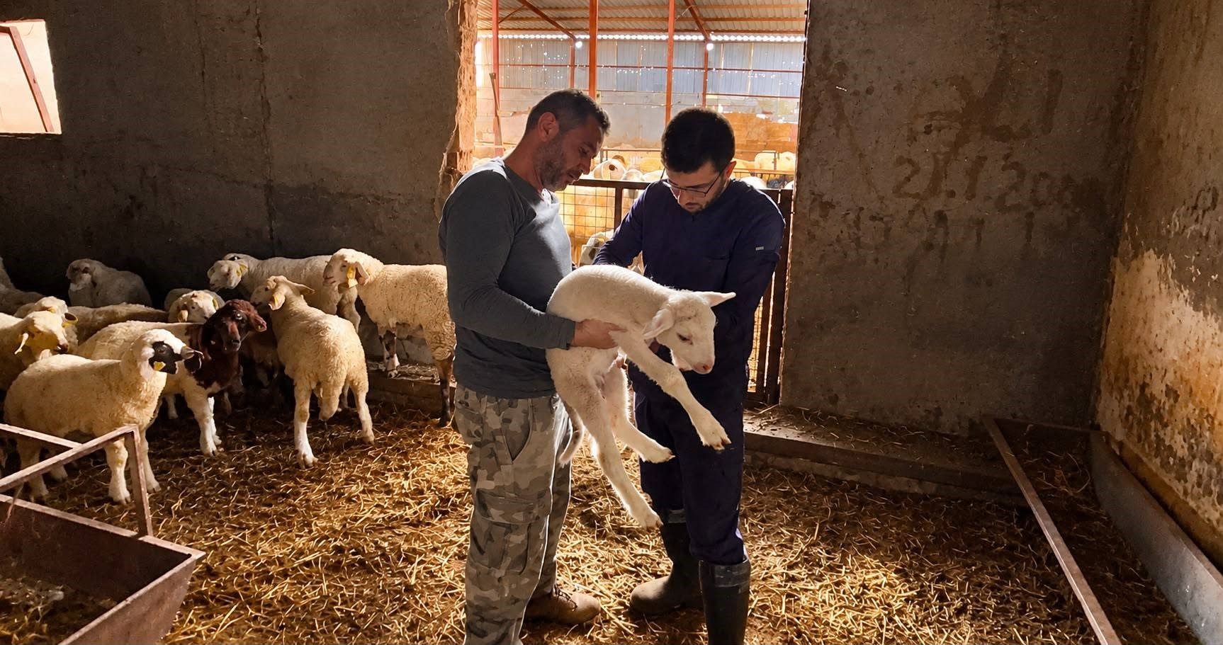Afyonkarahisar’da hayvan sağlığının korunması, bulaşıcı hayvan hastalıklarının önlenmesi ve hayvan