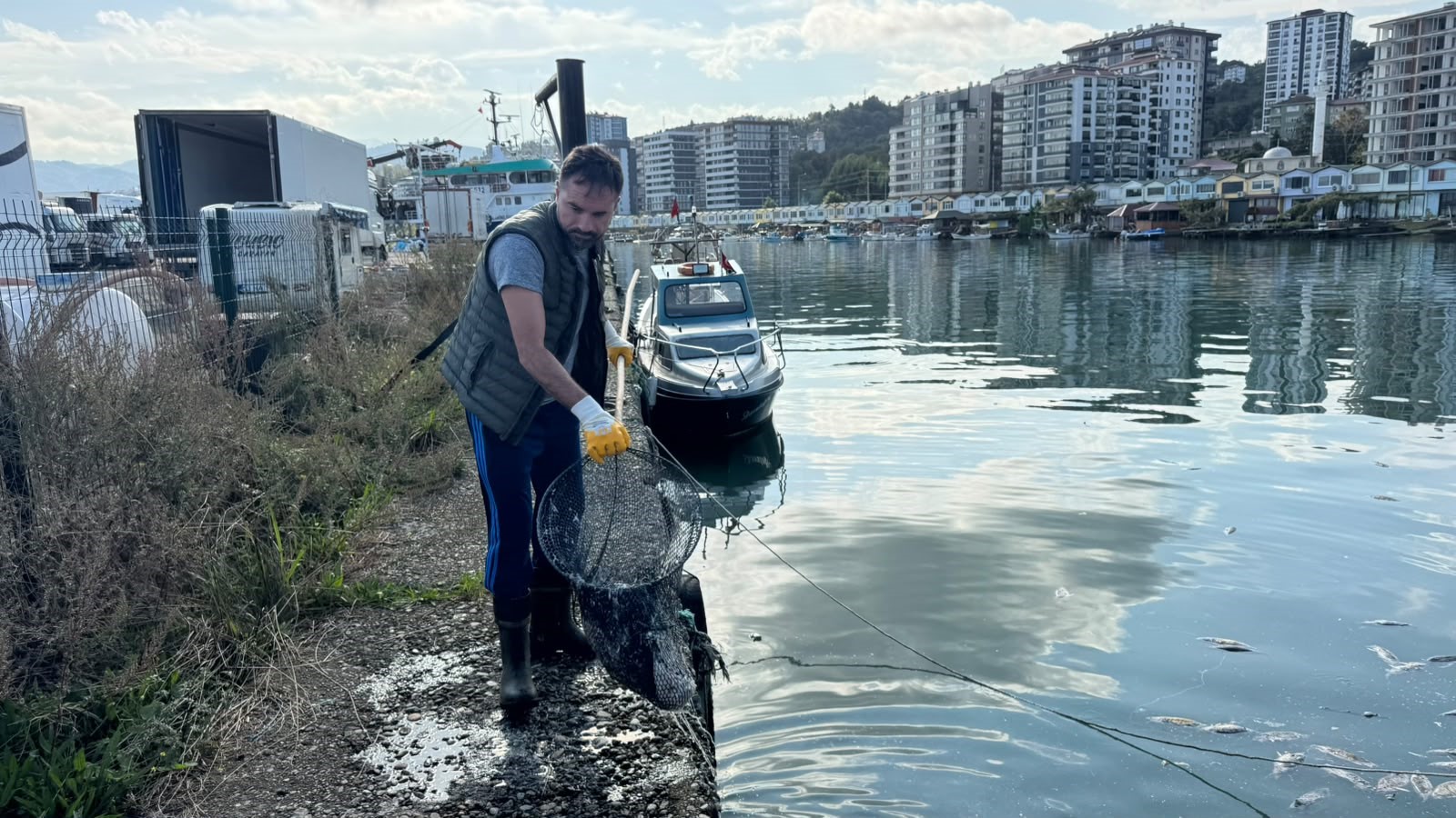 Palamut bolluğu çileye dönüştü, liman balık çöplüğüne döndü 3 Palamut bolluğu çileye dönüştü, liman balık çöplüğüne döndü