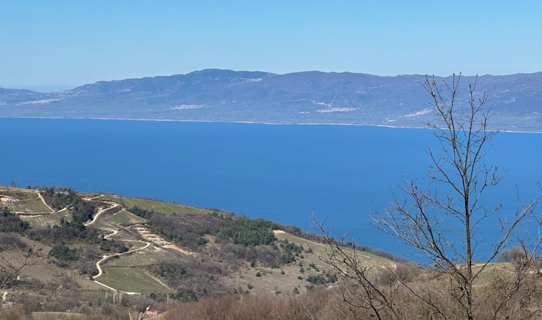 Bursa'nın Yenişehir ilçesine bağlı Kirazlıyayla Mahallesi, hem İznik Gölü'nü hem