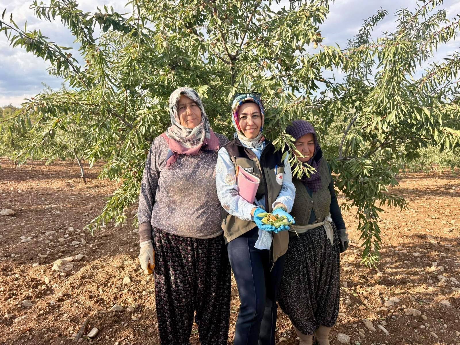 Afyonkarahisar’da meyve bahçelerinde bitki sağlığını tehdit eden Xylella fastidiosa etmenine
